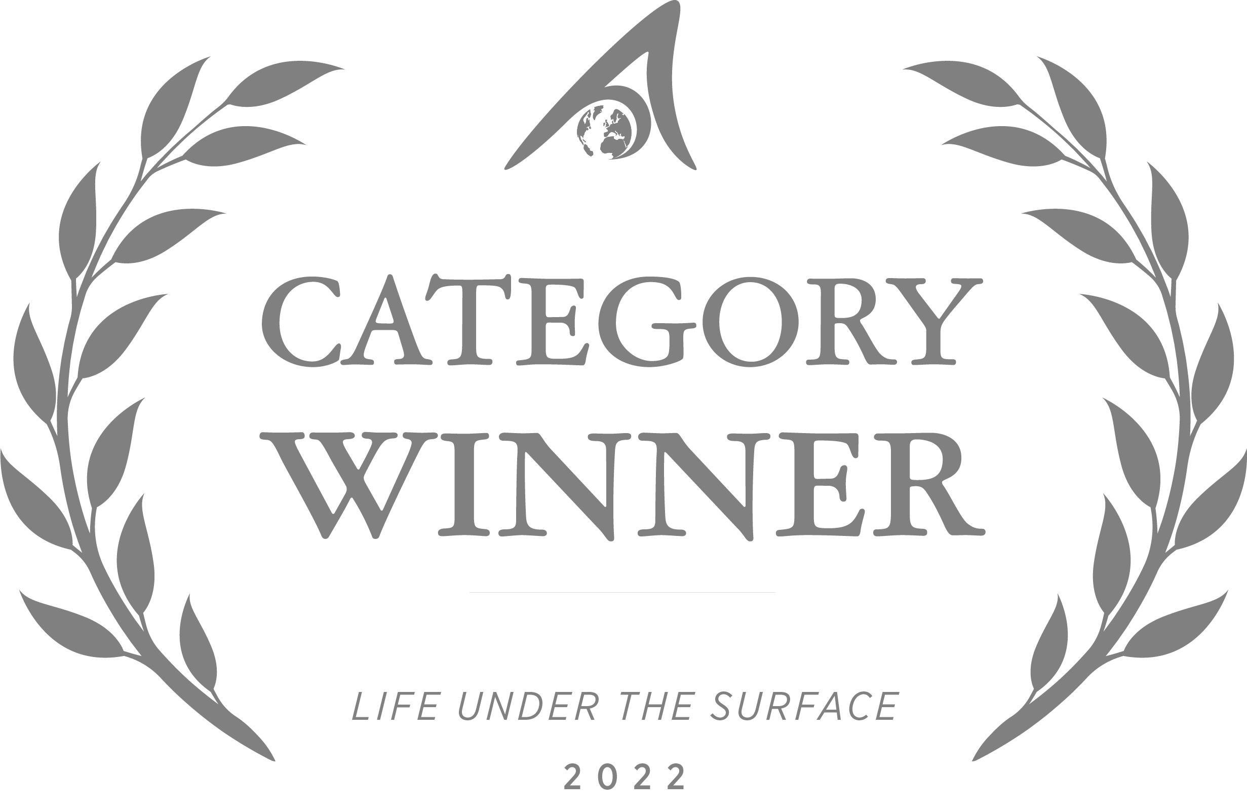 Category winner