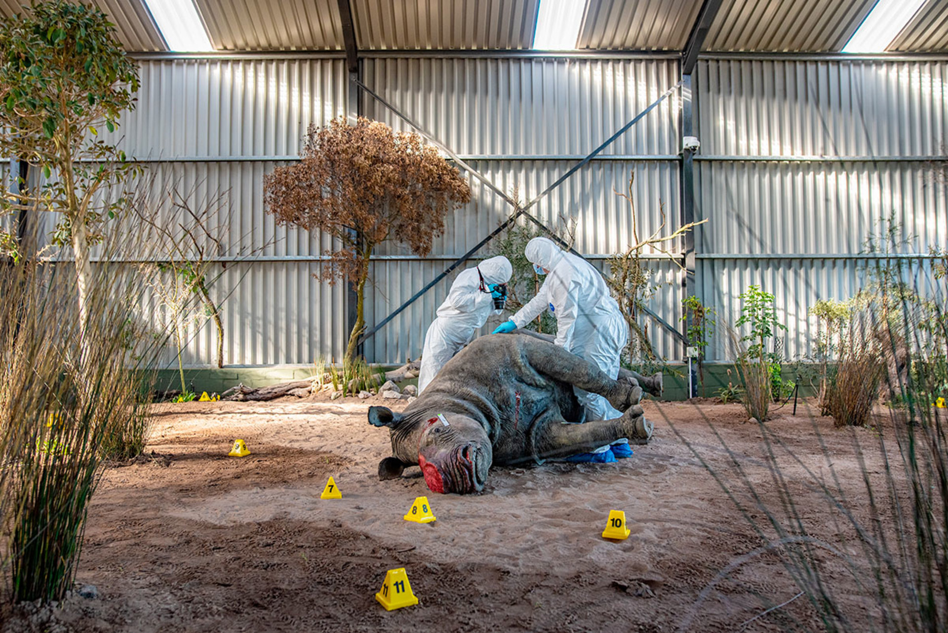 Wildlife CSI Academy, 2022