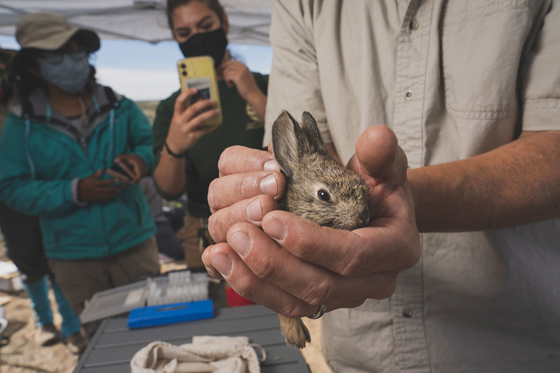 A Big Shot for a Tiny Rabbit, 2021