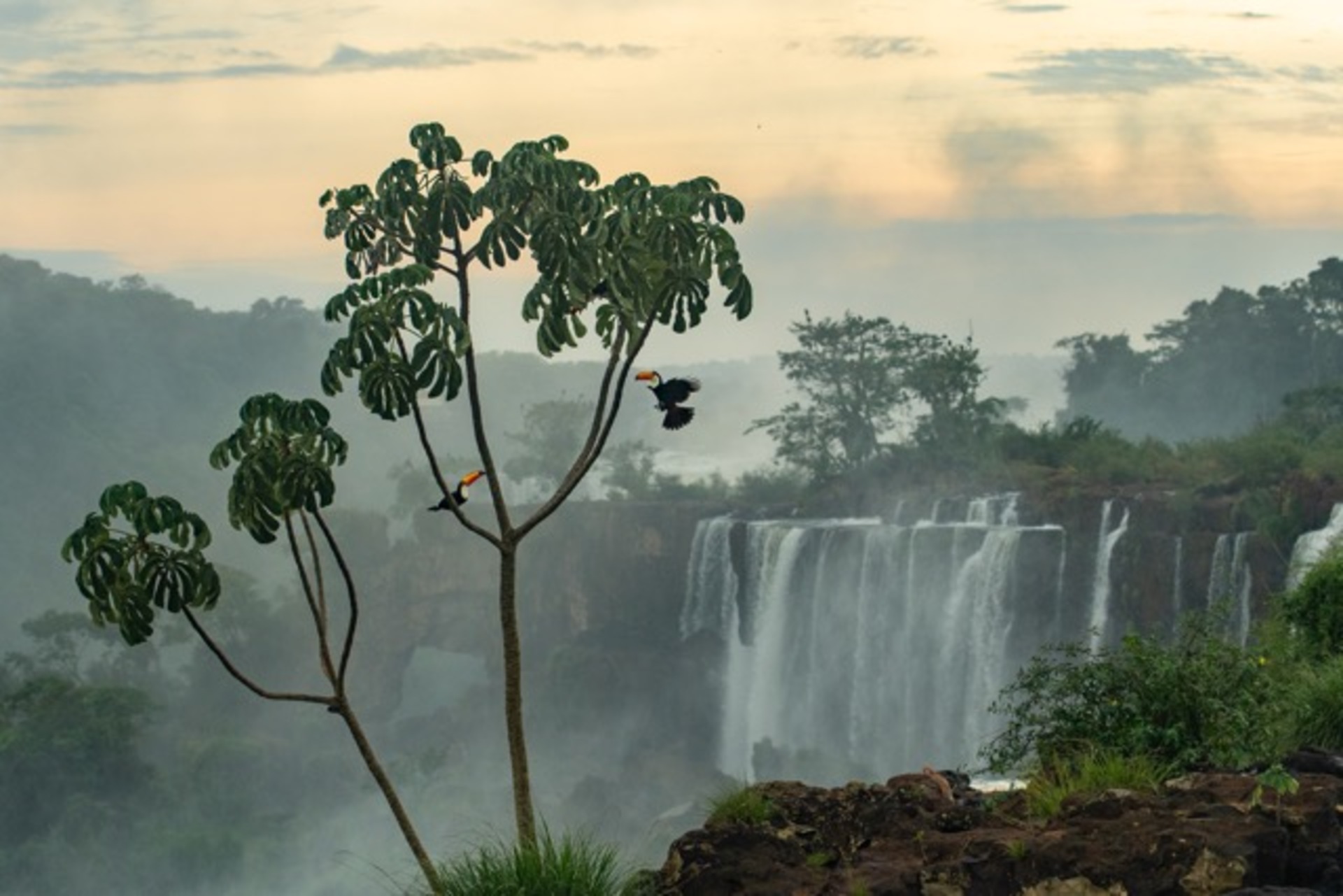 Spirits of the Falls