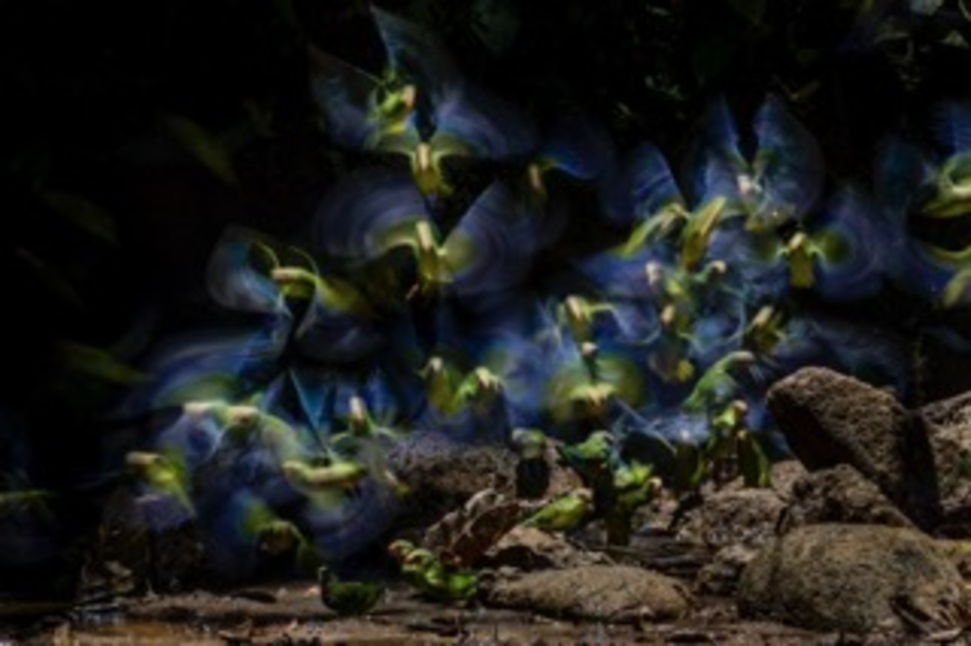 An explosion of colors