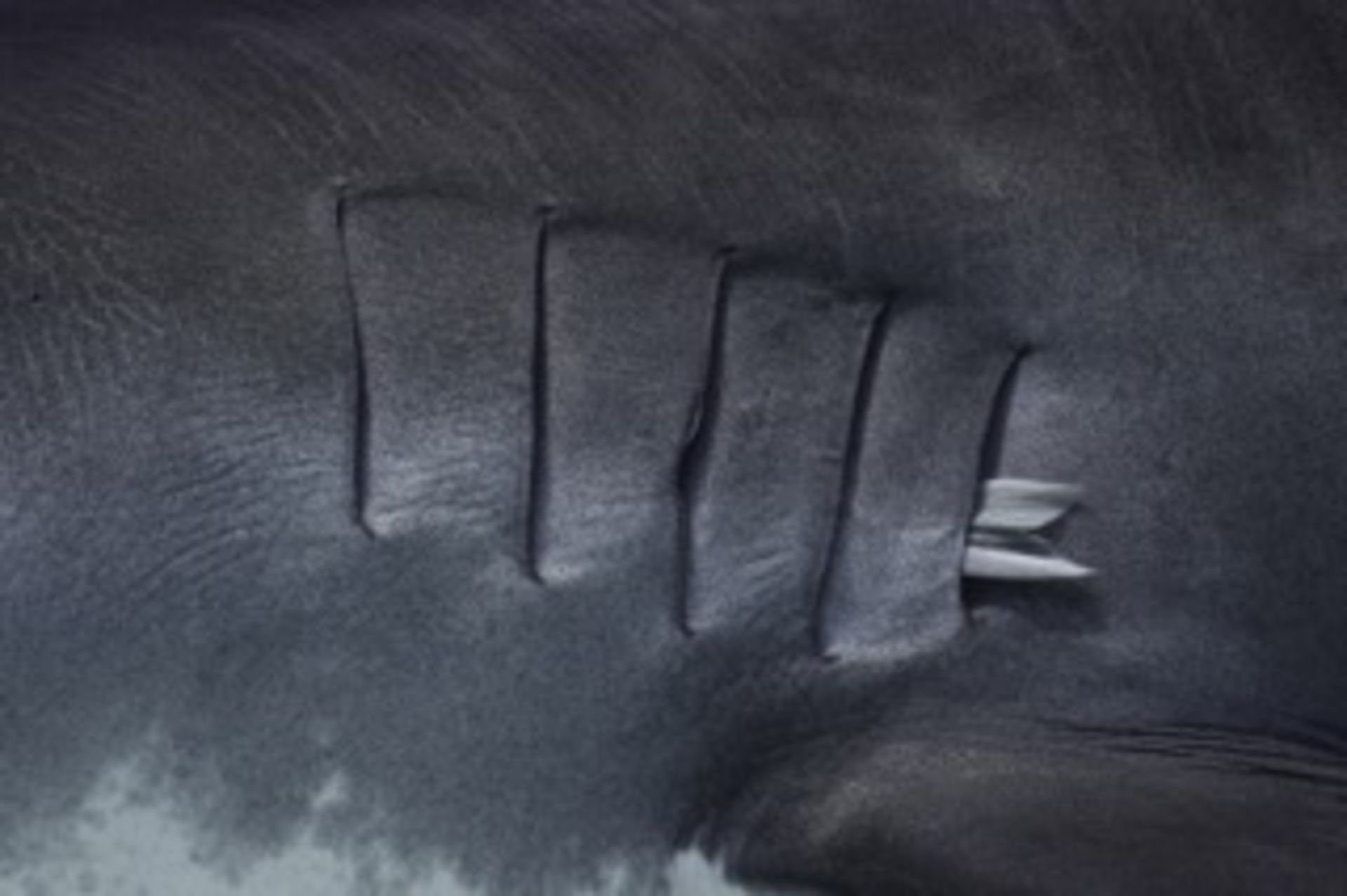 Passenger in the Gill