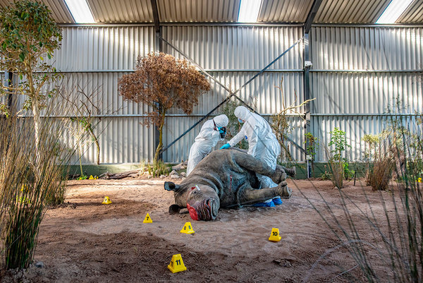 Wildlife CSI Academy, 2022