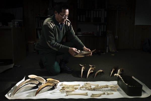 The Bird Man of Bhutan