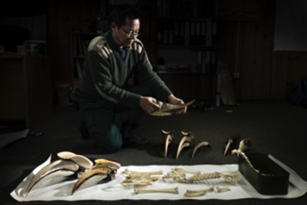 The Bird Man of Bhutan