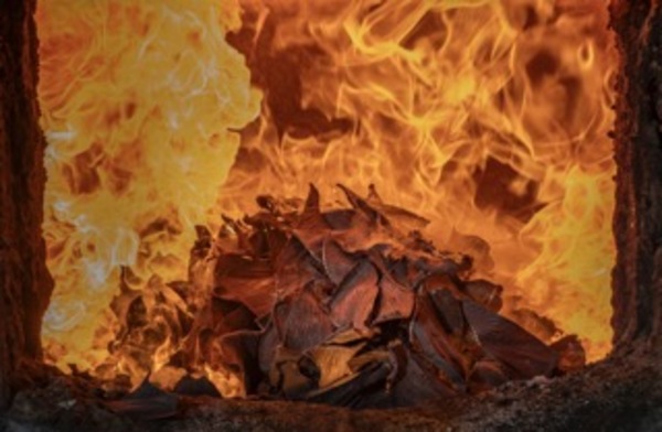 Born for the ocean, fated to the flames