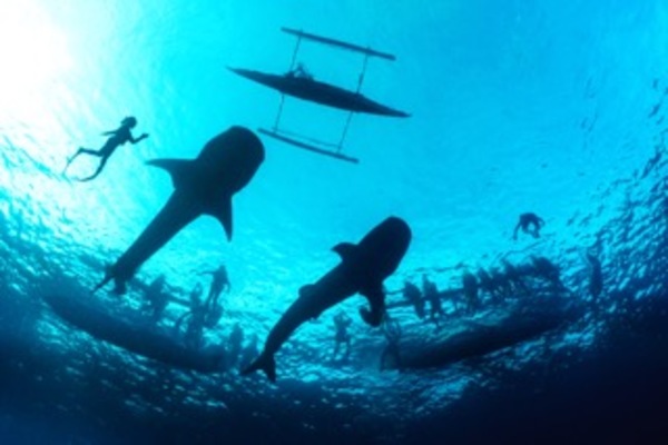 Conservation vs Tourism