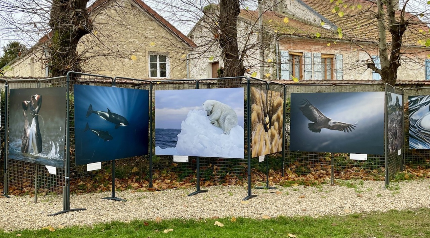 Centre d’activités des Scouts et Guides de France 